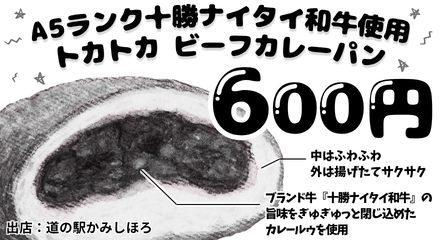 道の駅かみしほろ