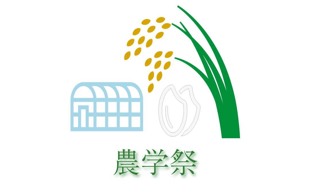 社会問題にかんする展示