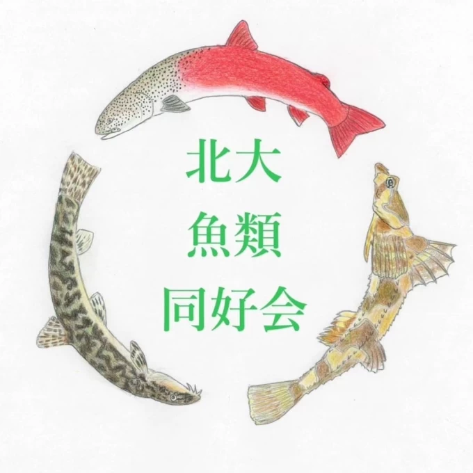 魚類同好会