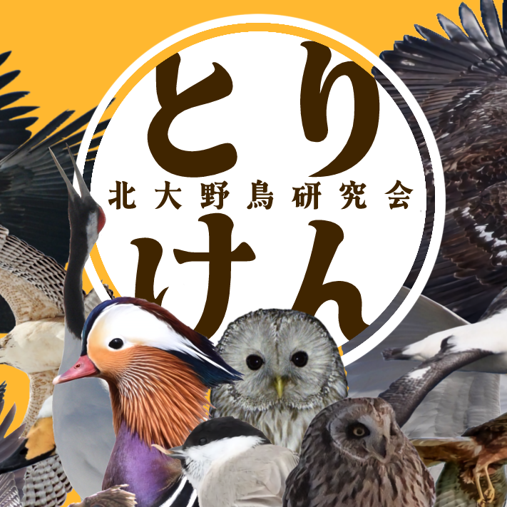 北大とりまみれ展